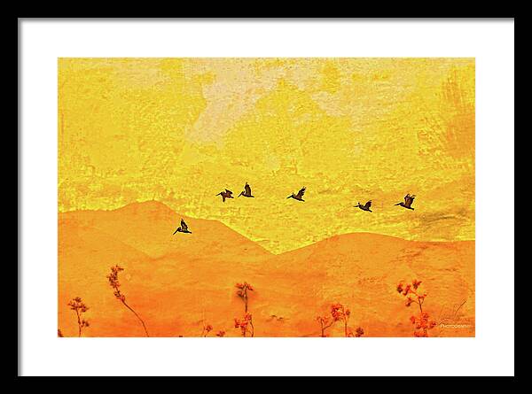 Orange bakcground and flying birds - Framed Print