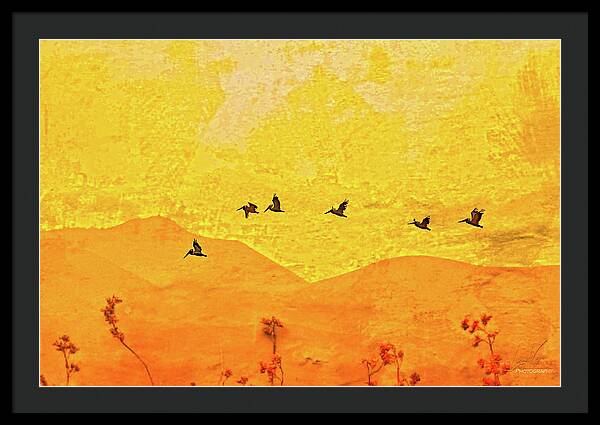 Orange bakcground and flying birds - Framed Print