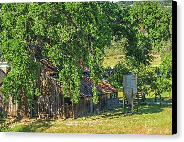 Outdoor Barn Central California - Canvas Print