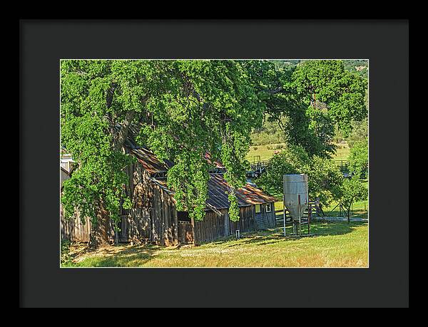 Outdoor Barn Central California - Framed Print