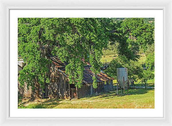 Outdoor Barn Central California - Framed Print
