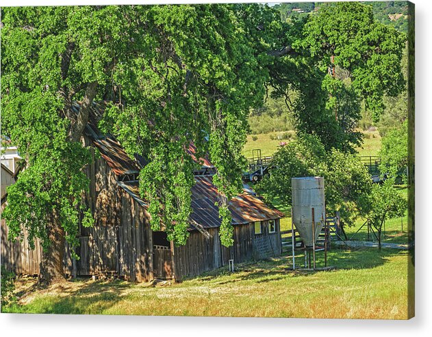 Outdoor Barn Central California - Acrylic Print