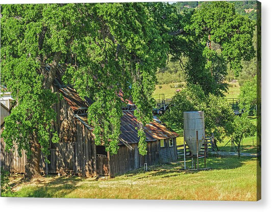 Outdoor Barn Central California - Acrylic Print