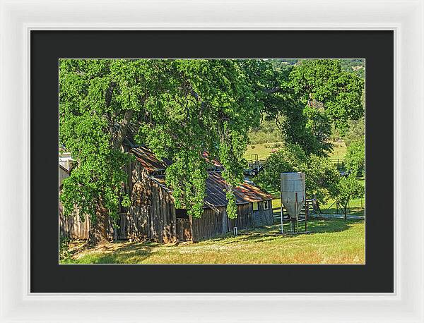 Outdoor Barn Central California - Framed Print
