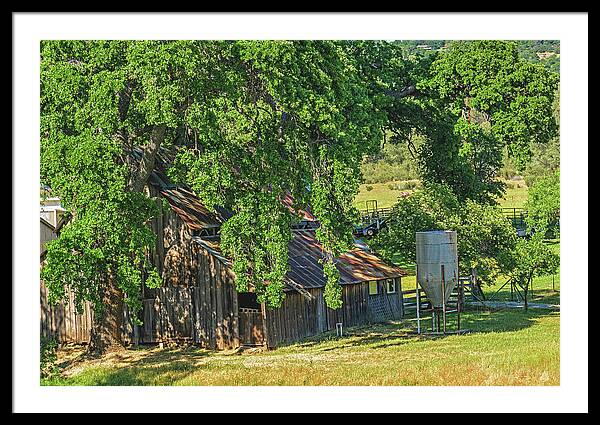 Outdoor Barn Central California - Framed Print