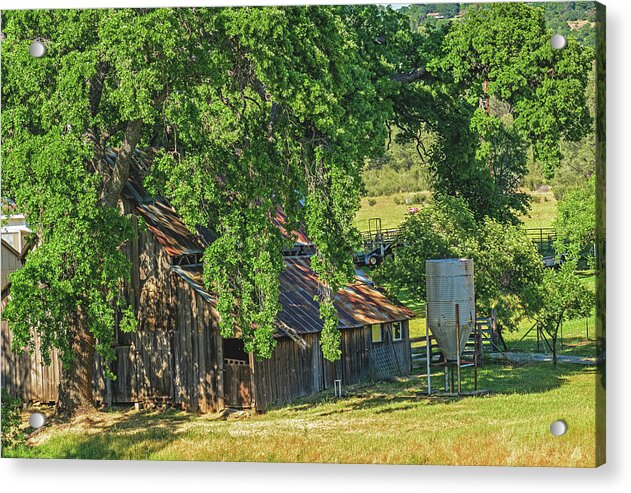 Outdoor Barn Central California - Acrylic Print