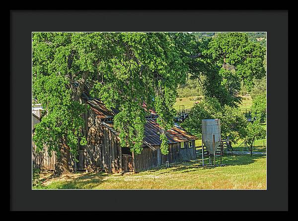Outdoor Barn Central California - Framed Print