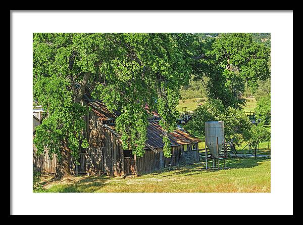 Outdoor Barn Central California - Framed Print