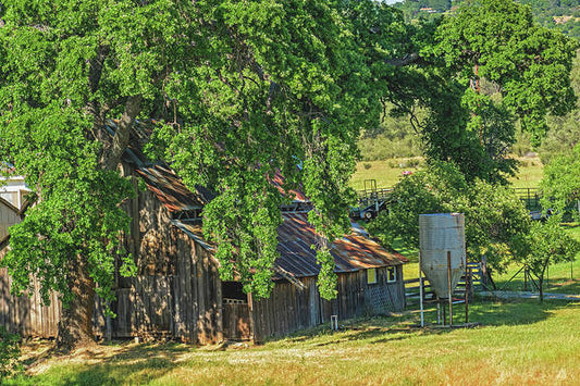 Outdoor Barn Central California - Art Print