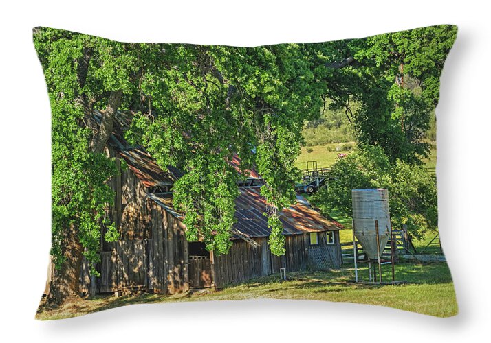 Outdoor Barn Central California - Throw Pillow