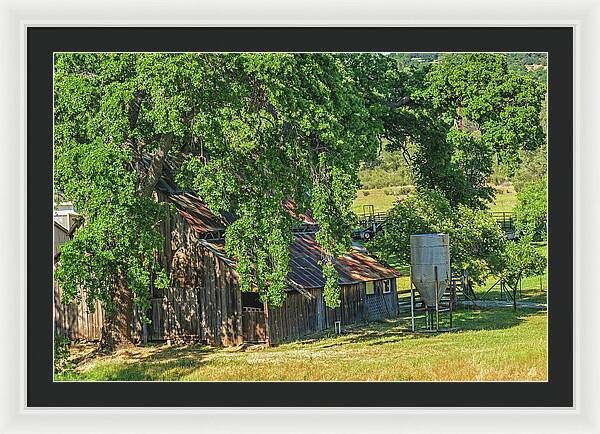 Outdoor Barn Central California - Framed Print
