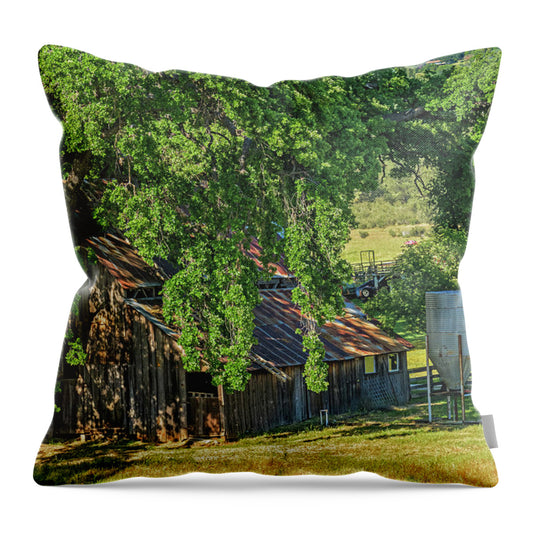 Outdoor Barn Central California - Throw Pillow
