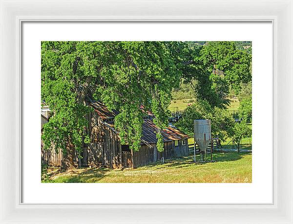 Outdoor Barn Central California - Framed Print