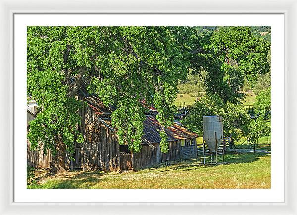 Outdoor Barn Central California - Framed Print