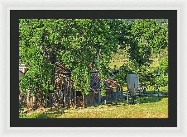 Outdoor Barn Central California - Framed Print