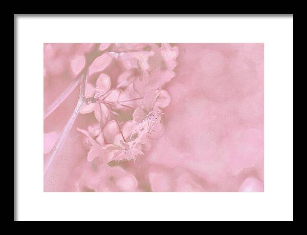 Pink Flowers Background Artistic Backdrop  - Framed Print