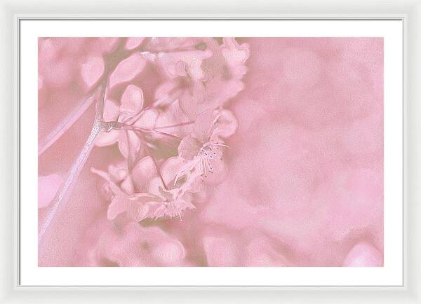 Pink Flowers Background Artistic Backdrop  - Framed Print