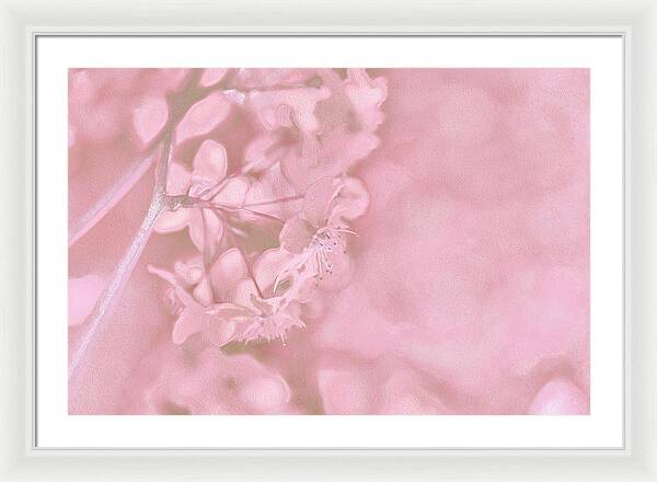Pink Flowers Background Artistic Backdrop  - Framed Print