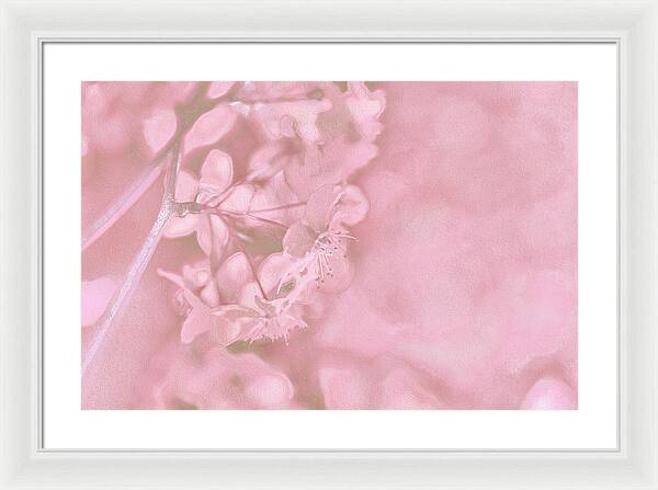 Pink Flowers Background Artistic Backdrop  - Framed Print