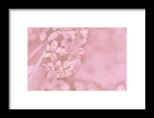 Pink Flowers Background Artistic Backdrop  - Framed Print