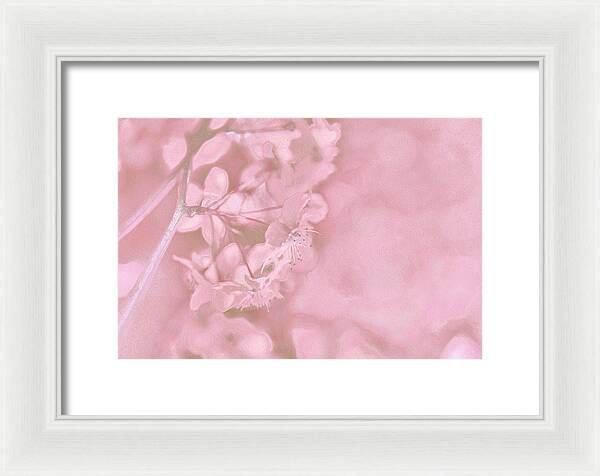 Pink Flowers Background Artistic Backdrop  - Framed Print