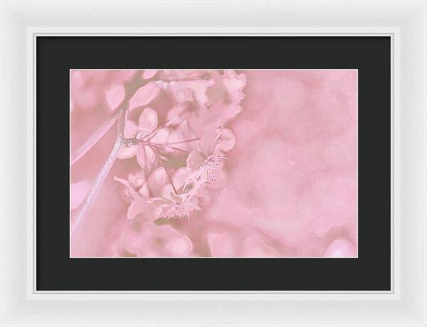 Pink Flowers Background Artistic Backdrop  - Framed Print