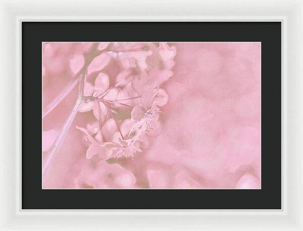 Pink Flowers Background Artistic Backdrop  - Framed Print