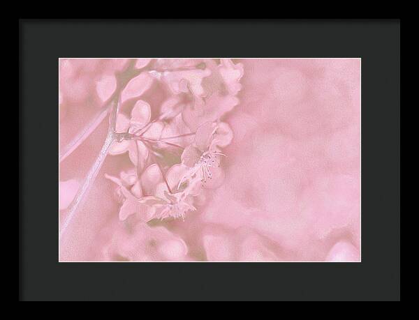 Pink Flowers Background Artistic Backdrop  - Framed Print