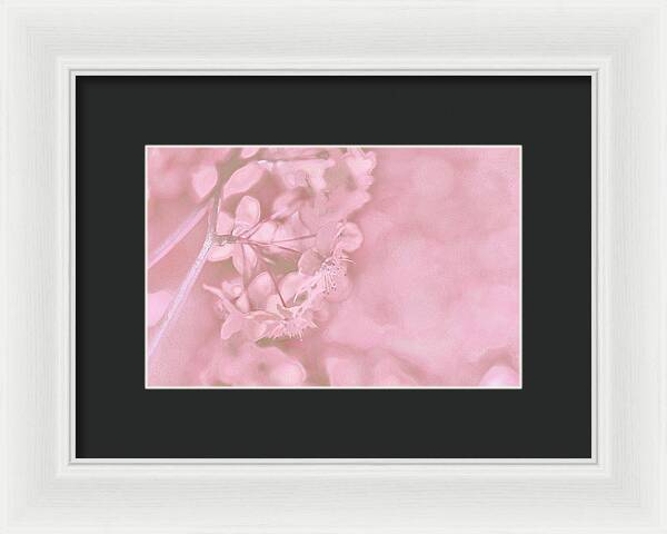 Pink Flowers Background Artistic Backdrop  - Framed Print