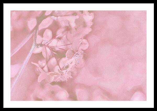 Pink Flowers Background Artistic Backdrop  - Framed Print