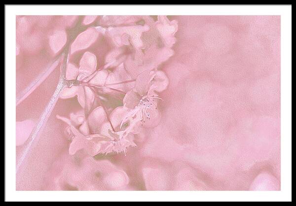Pink Flowers Background Artistic Backdrop  - Framed Print