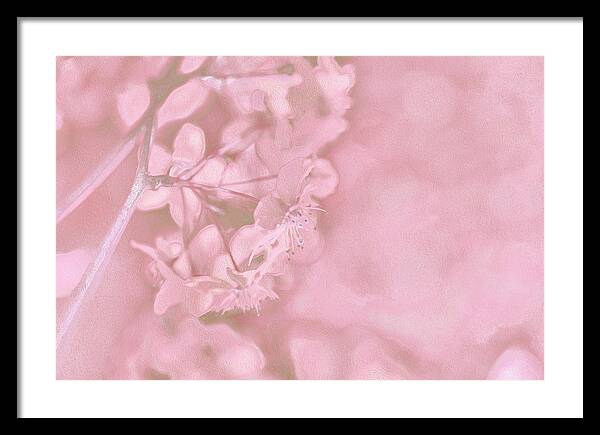 Pink Flowers Background Artistic Backdrop  - Framed Print