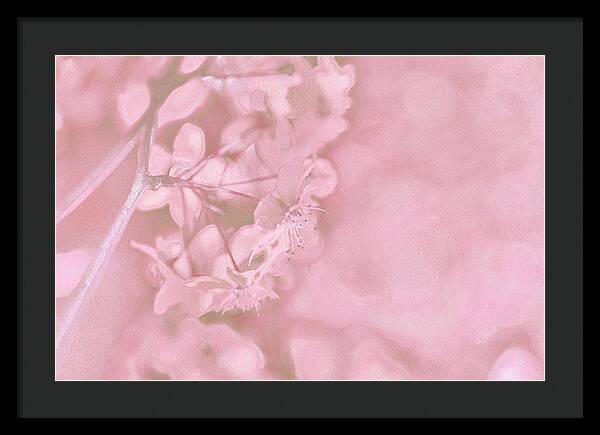 Pink Flowers Background Artistic Backdrop  - Framed Print