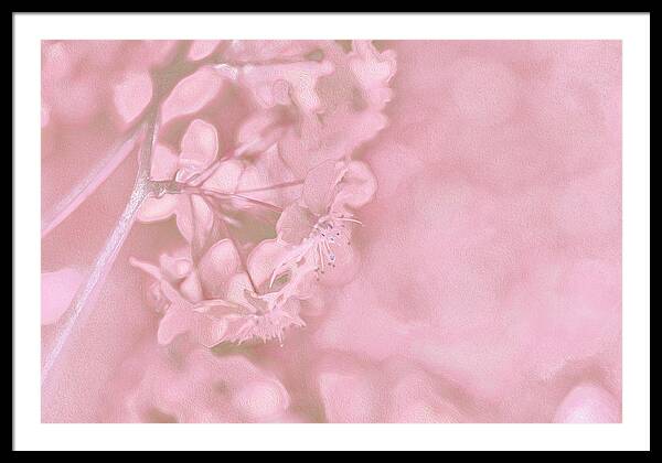 Pink Flowers Background Artistic Backdrop  - Framed Print