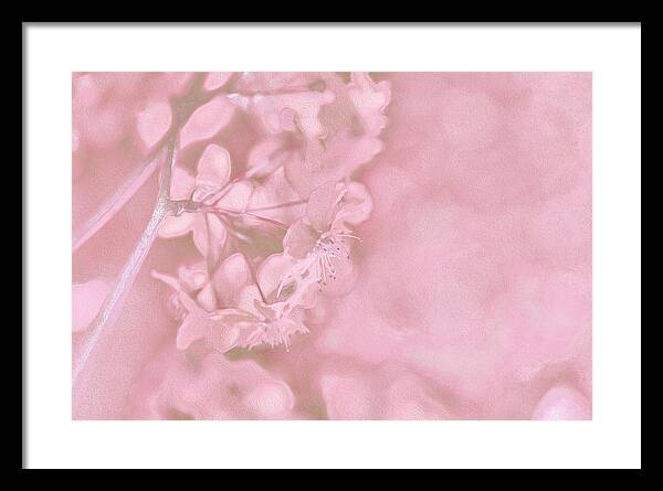 Pink Flowers Background Artistic Backdrop  - Framed Print