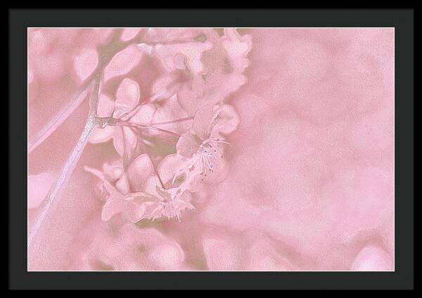 Pink Flowers Background Artistic Backdrop  - Framed Print