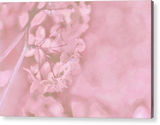 Pink Flowers Background Artistic Backdrop  - Acrylic Print