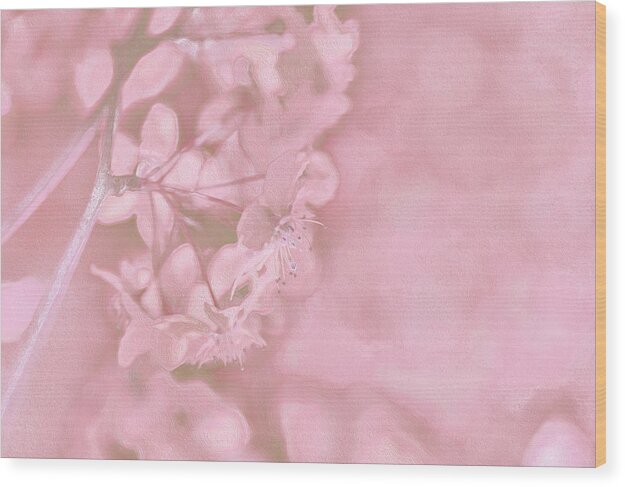 Pink Flowers Background Artistic Backdrop  - Wood Print