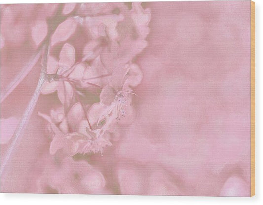 Pink Flowers Background Artistic Backdrop  - Wood Print