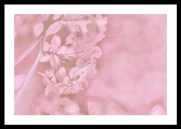 Pink Flowers Background Artistic Backdrop  - Framed Print