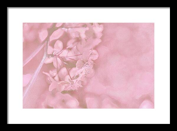 Pink Flowers Background Artistic Backdrop  - Framed Print