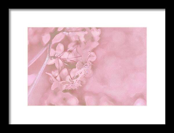 Pink Flowers Background Artistic Backdrop  - Framed Print