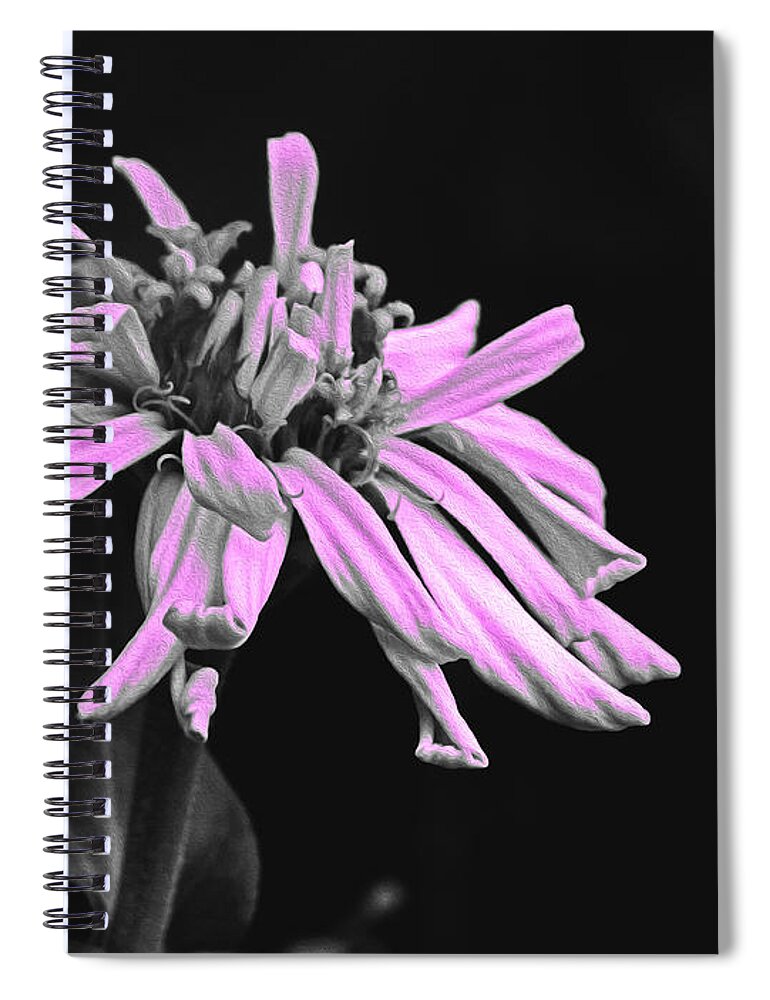 Pink Midnight Flower - Spiral Notebook