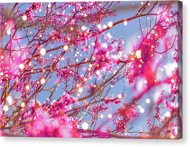 Pink Sparkling Blooms - Canvas Print