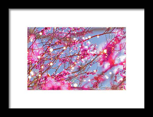 Pink Sparkling Blooms - Framed Print