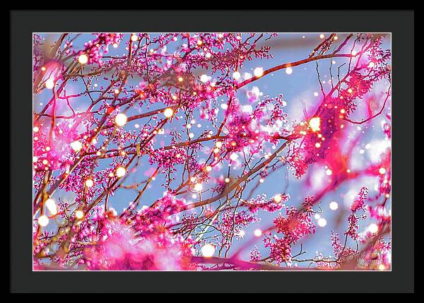 Pink Sparkling Blooms - Framed Print