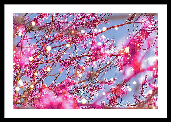 Pink Sparkling Blooms - Framed Print