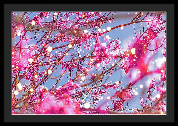 Pink Sparkling Blooms - Framed Print