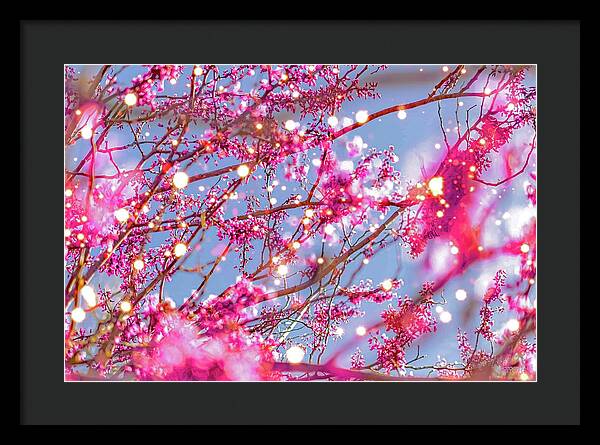 Pink Sparkling Blooms - Framed Print