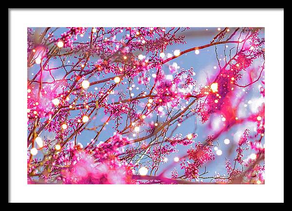 Pink Sparkling Blooms - Framed Print
